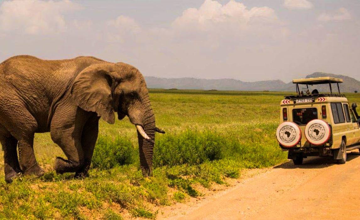 6 Days Luxury Tented Camps Safari