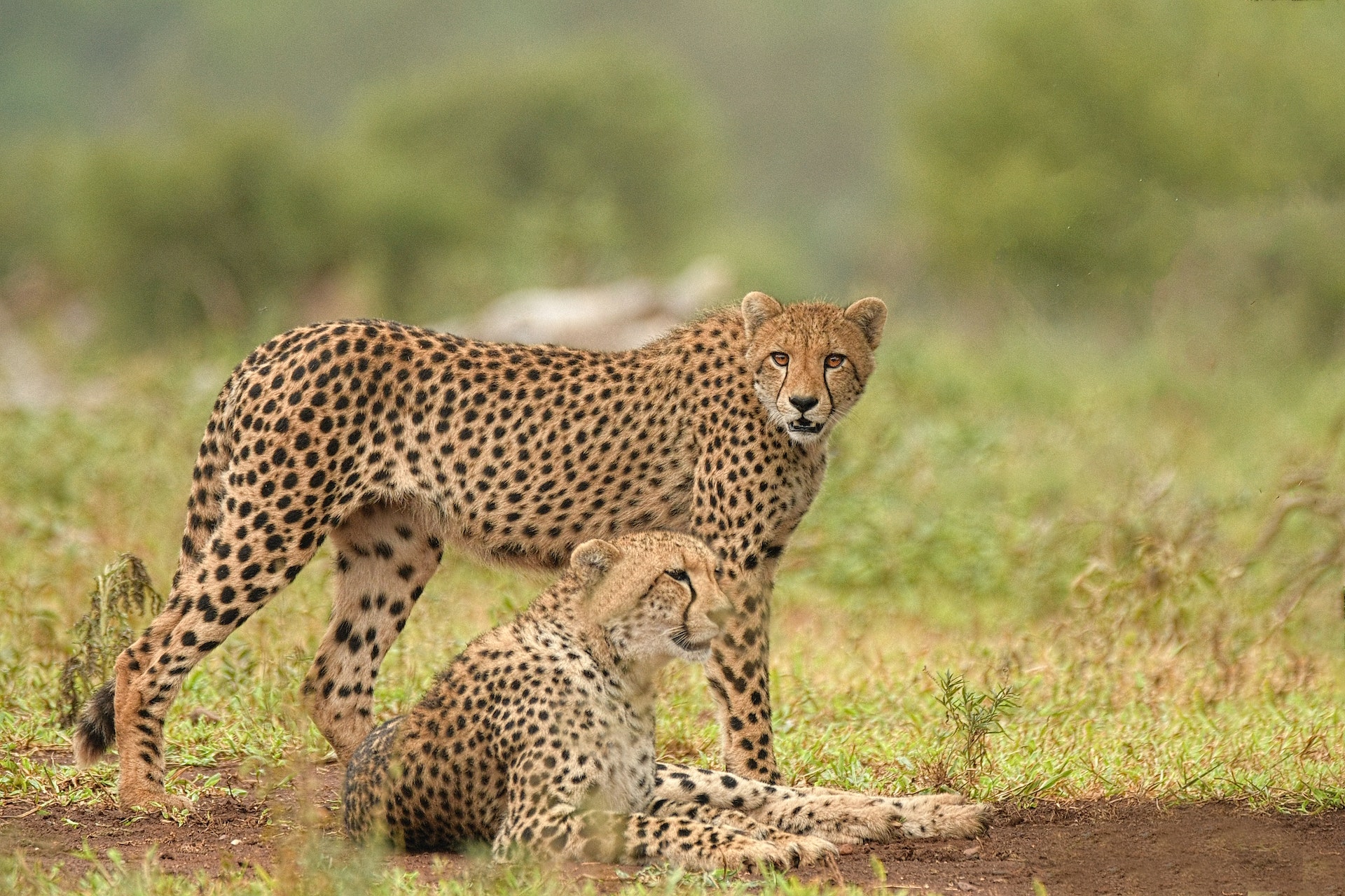 Serengeti National Park