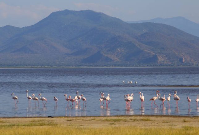 Lake Manyara